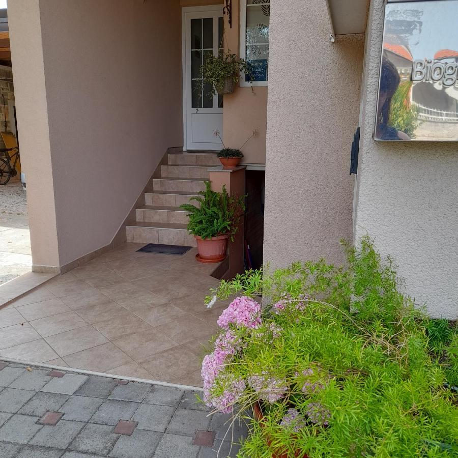 Apartments Filipovic Biograd Na Moru Εξωτερικό φωτογραφία