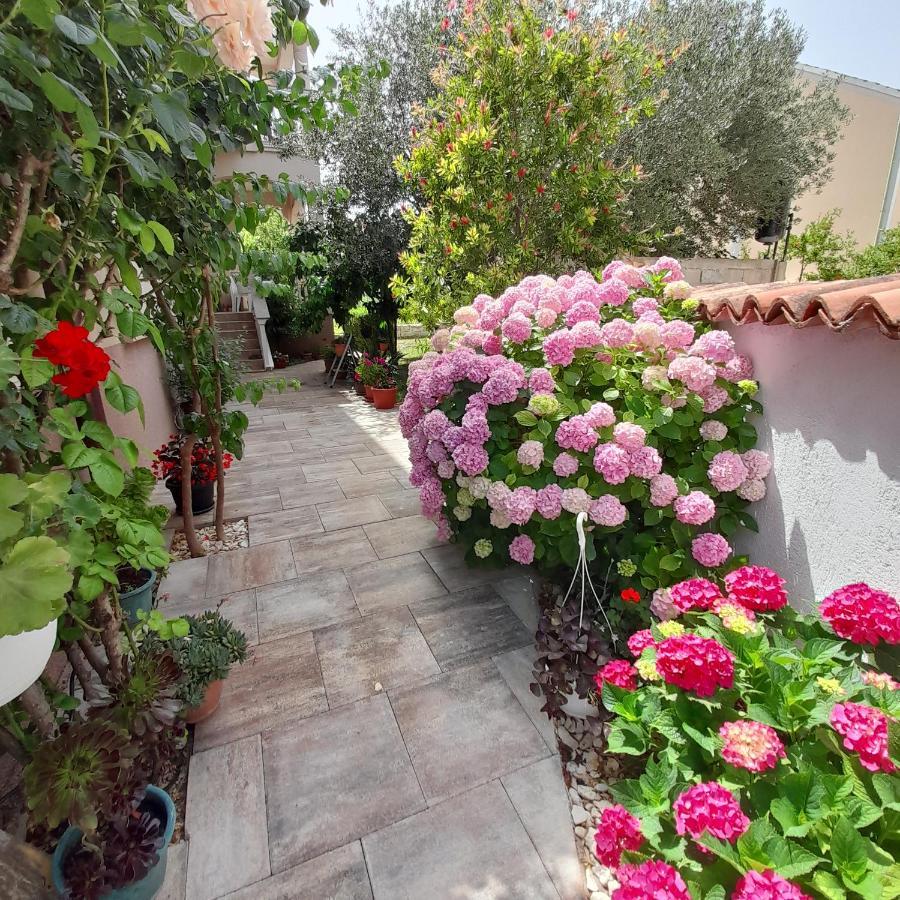 Apartments Filipovic Biograd Na Moru Εξωτερικό φωτογραφία