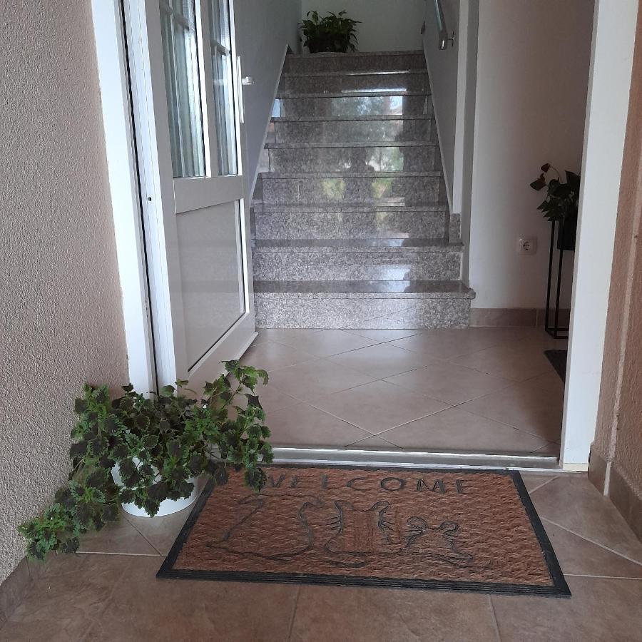 Apartments Filipovic Biograd Na Moru Εξωτερικό φωτογραφία